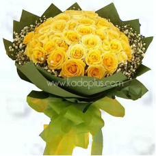 Yellow Delight